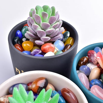 Tumbled Stone Set Fluorite Crystals, Handpicked Tumbled Gemstones Rocks, Pebbles for Reiki, Chakra, Healing, Home Decor 0.6" Inches 7 Ounces
