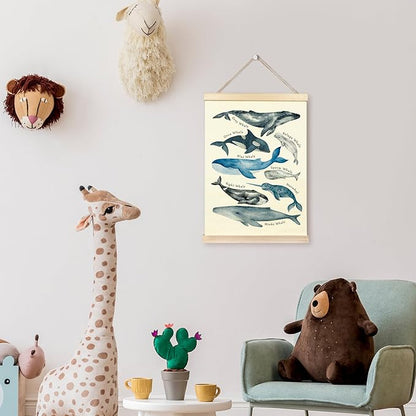 TAEDIN Whales Ocean Animal Chart Poster Hanger Frame, Whales Nautical Wall decor Educational Wooden Canvas Print, Sea Life Beach Wall Decor Painting for Classroom Nursery Bedroom Teen Room 16X24