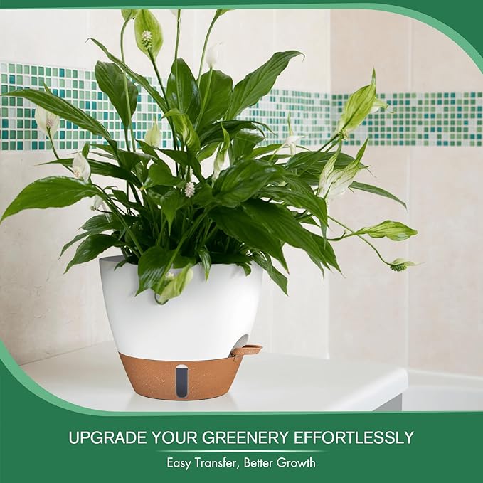 montresor 2 Pack 10 inch Plant Pots, PP Plastic Self Watering Planter with Drainage and Tray for Indoor Outdoor Plants, Water Level Window & Reservoir Flower Pots Decorative Planter (Cream, 10 Inch)
