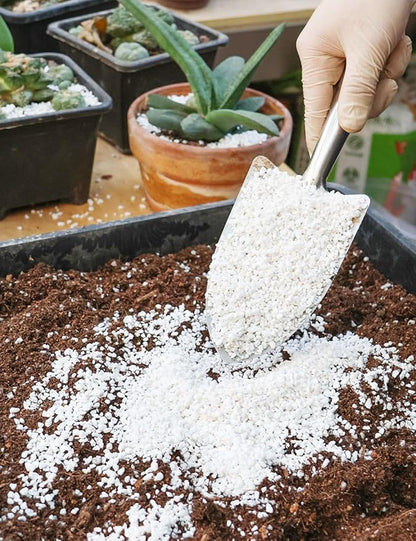 TOYPOPOR Perlite for Plants, (3qt) 3-6mm Organic Perlite for Gardening, Perlite for Plants Indoor, Soil Additive Conditioner Mix Improve Drainage and Ventilation Promote Root Growth and Soil Health