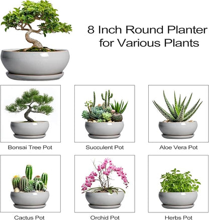 SQOWL Bonsai Tree Pots - 8 Inch Ceramic Plant Pots for Succulents, Shallow Planter with Drainage Hole and Saucer, Round Planter Indoor Outdoor, Bowl Planters, Home Decor, Gift for Plant Lover, Gray