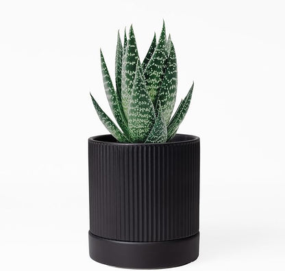 Small Plant Pots, 4 Inch Pots for Indoor Plants, Modern Minimalist Ceramic Plant Pots with Drainage Hole & Saucer, Matte Black Set of 2