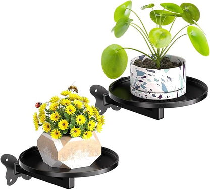 Butterfly Buckle Wall Mounted Plant Shelf 2-Pack Hanging Flower Pot Holder Black Iron Art Space Saving Indoor Balcony Decorative Shelf 5.9 Inch Round Tray Small Potted Plant Organizer Sturdy Bearing for Wall Storage Rack