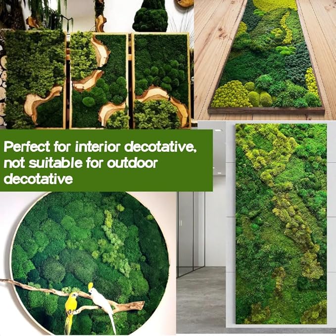 Preserved Moss-1.1lb 4 Color Mix Pack Reindeer Craft Moss, Green Moss Artificial Moss Suitable for Flowerbeds, Crafts, Home Office Artistic Decoration(Green Tones-3)