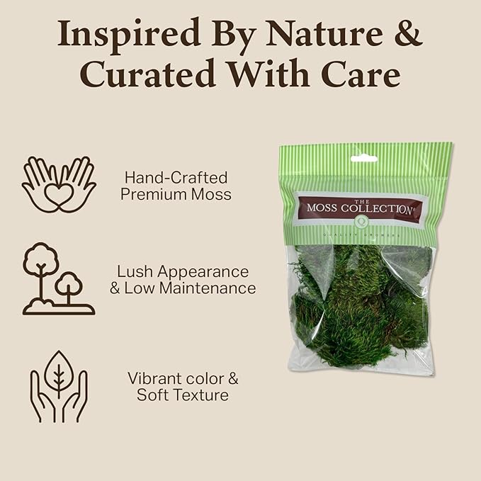 Preserved Mood Moss - Premium Decorative Moss for Crafts, Home Décor, Art, Design & DIY Projects - Real Moss- Non-Toxic - USA-Made- Natural Green, Small 2-Pack