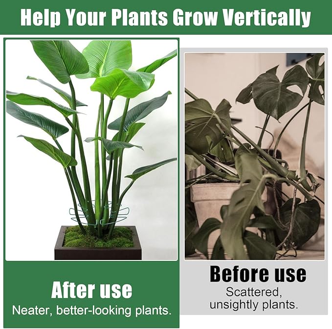 5 PCS Iron Monstera Plant Support, Plant Supports for Indoor Plants, Metal Monstera Plant Stabilizer, Plants Stem Holder for Thriving Growth Indoor Plants(Green)