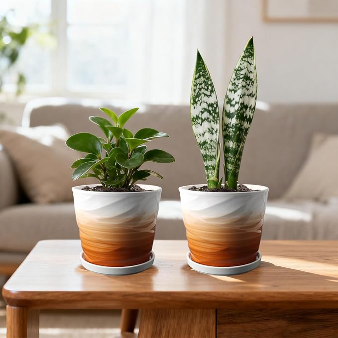 6 Inch Plant Pot,Ceramic Planter with Drainage and Saucer,Ceramic Pots for Plants,Indoor Plant pots,planters for Indoor Plants(6.7 in Diameter,2 Pack)