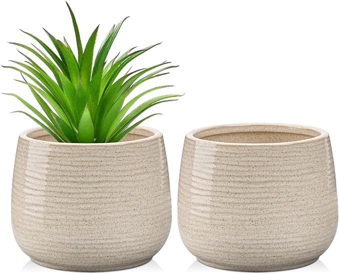 Ceramic Plant Pots 5.3 Inch Set of 2, Flower Plants Pot with Drainage Holes White Planter Garden Pot for Succulent Cactus Home Decoration Gift Indoor Outdoor