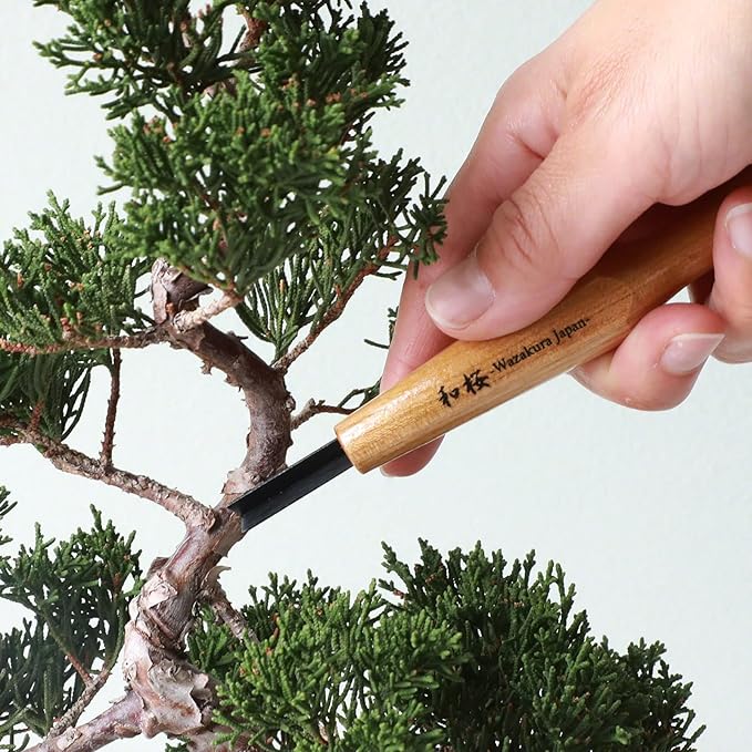 Wazakura Made in Japan Bonsai Chisel Hand V-Parting Carving Tool 0.17 in (4.5 mm) for Jin Shari Making, DIY Woodcarving Knife for Experts and Beginners (V-Parting Triangle Shape 4.5 mm)