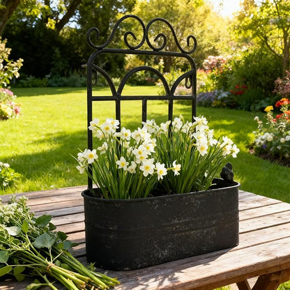 Rustic Metal Wall Planter Vintage Wall Mounted Flower Pot Distressed Wall Hanging Plant Basket Farmhouse Wall Decor for Indoor Outdoor Garden Home Yard (Black)