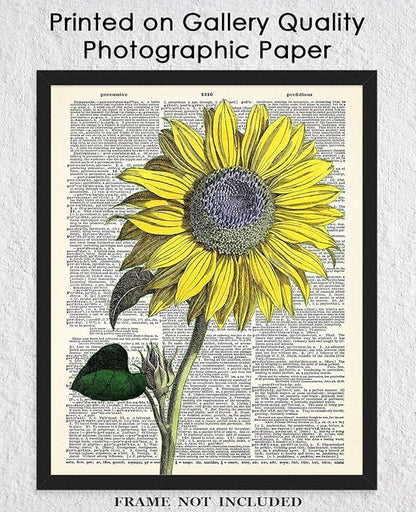Vintage Sunflower Botanical Wall Art, Dictionary Posters - Give Your Home A Touch of Elegance With Plant Pictures Wall Art, Unframed 11x14 Botanical Decor Poster Prints