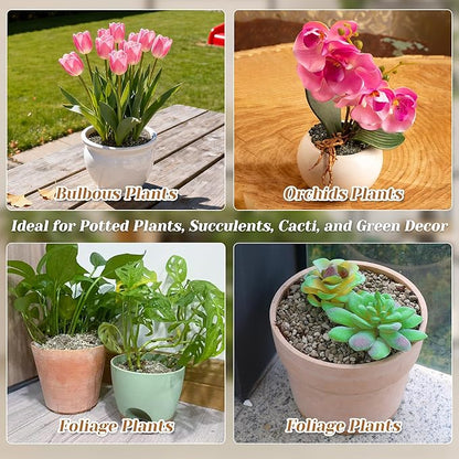 Horticultural Pumice for Plants, 8 Quarts Bag （14.4 IB） Natural Soil Amendment, 1/4" Particle Size for Succulent, Cactus, Bonsai Tree, Orchid Potting Mix