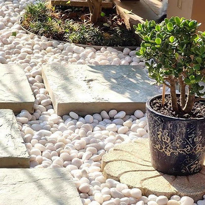 5lbs White Pebbles for Indoor Plants, 0.8-1.2 Inch Smooth White River Rocks for Potted Plants, Decorative Polished Stones for Landscaping Vase Fish Tank and Outdoor Garden Pavers