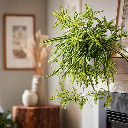 2 Pcs Artificial Spider Hanging Plant Artificial Bracketplant Chlorophytum Fake Greenery for Outdoor Porch Patio Window Shelf Office Garden Home Decor (Green)