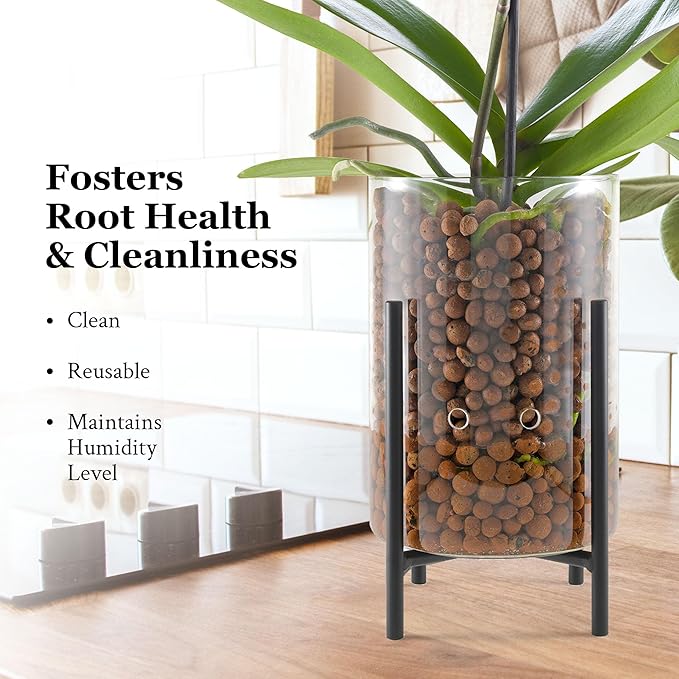 Pot & Pebble - C8 Glass Planter with Decorative Metal Base - Plant Propagation Station with Water Level Control - Plant Cutting Holder for LECA Clay Pebbles/Similar Media - Semi Hydroponic Planter