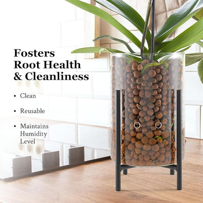 Pot & Pebble - C8 Glass Planter with Decorative Metal Base - Plant Propagation Station with Water Level Control - Plant Cutting Holder for LECA Clay Pebbles/Similar Media - Semi Hydroponic Planter