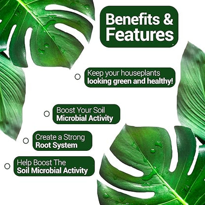 Elm Dirt Kelp Mist 100% Organic Plant Spray - Foliar Spray for Plants Food Indoor House Plants & Outdoor Plant Food | Help Plant Nutrients Efficiently & Boost Soil Activity - Kelp Foliar Mist (16 oz)