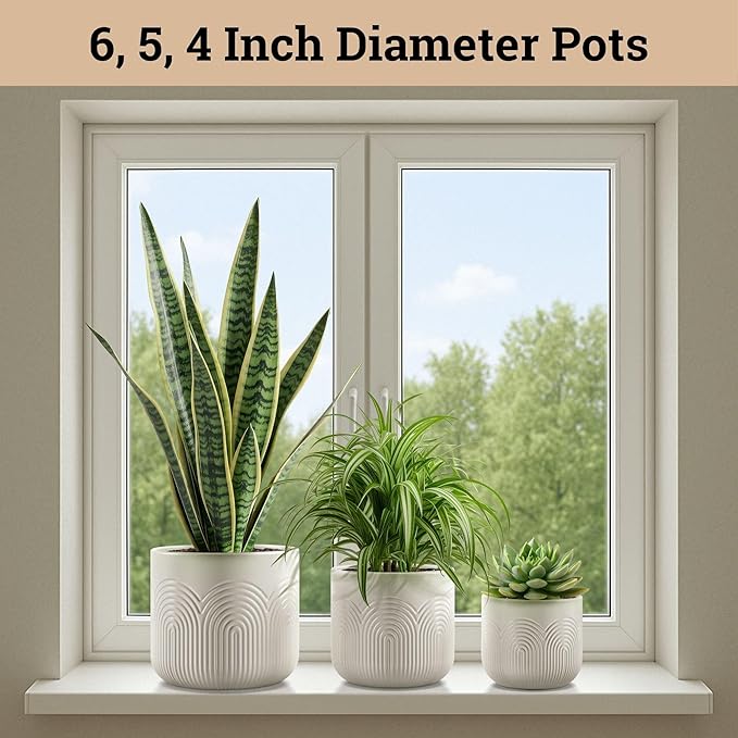 Ceramic Pots for Plants Set of 3 Sizes - 6, 5, 4 Inch Diameter Plant Pots with Drainage Holes - Ceramic Planters for Indoor Plants - Decorative Flower Pot - Plant Pot with Drainage - Indoor Planter