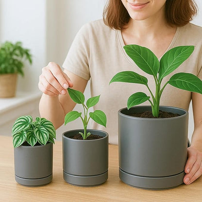 D'vine Dev 3 Inch & 4 Inch & 6 Inch, Set of 3 Round Ceramic Planter Pot with Drainage Hole and Saucer, Grey, 94-T-S-3