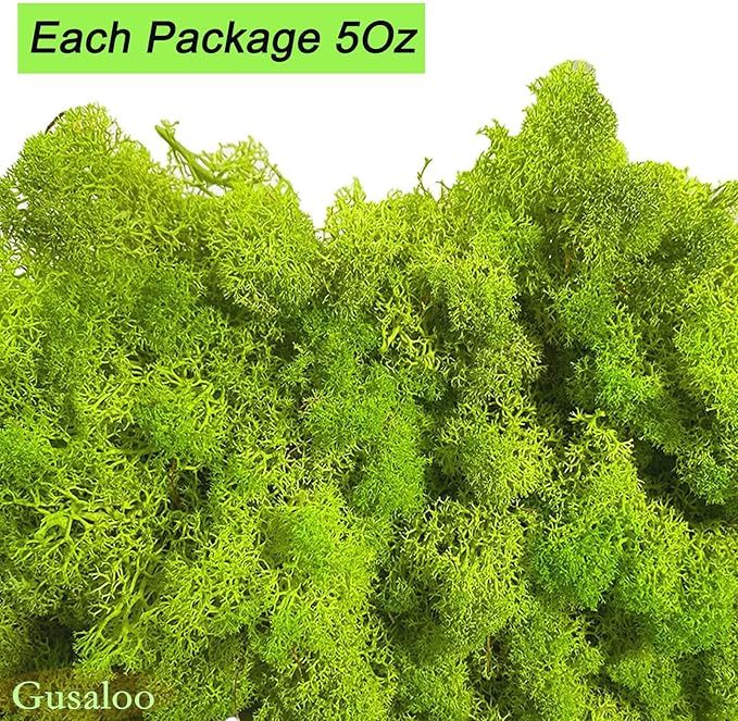 Preserved 5oz Moss Artificial Moss Natural Fresh Green Moss for Craft Handicraft Arts Floral Project Wall Decor Table Decor Wedding Centerpieces Garden Terrariums Decoration
