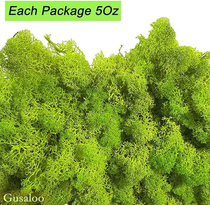 Preserved 5oz Moss Artificial Moss Natural Fresh Green Moss for Craft Handicraft Arts Floral Project Wall Decor Table Decor Wedding Centerpieces Garden Terrariums Decoration