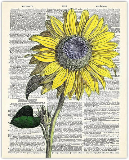 Vintage Sunflower Botanical Wall Art, Dictionary Posters - Give Your Home A Touch of Elegance With Plant Pictures Wall Art, Unframed 11x14 Botanical Decor Poster Prints