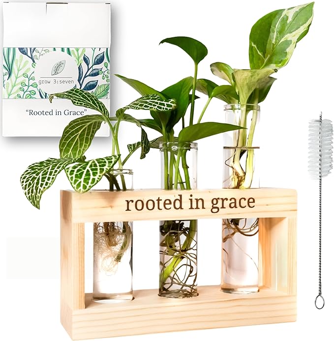 Rooted in Grace: Plant Propagation Stations: Plant Cutting Holder w/ 3 Glass Propagating Vases, Unique & Encouraging Christian Gifts for Women, Faith-Inspired Home Decor