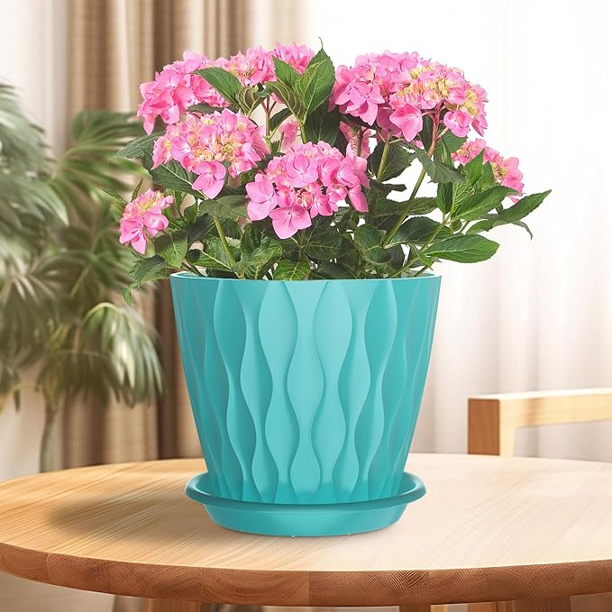 6 Inch Plant Pots with Saucers, 6 Pack Indoor Flower Pots, Planters with Drainage Holes for Orchids, Violets, Succulents, Herbs, and Other Plants, White (Black-Green, 6inch)