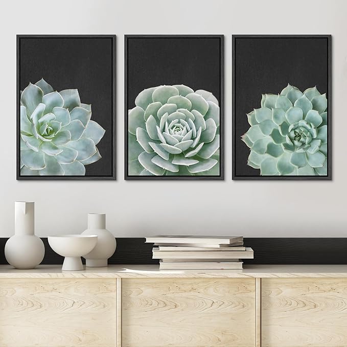 Ashbrook Framed Canvas Print Wall Art Set Green Desert Rose Cactus Succulents Nature Wilderness Photography Modern Art Minimal Chic Colorful for Living Room, Bedroom, Office - 16"x24"x3 Black