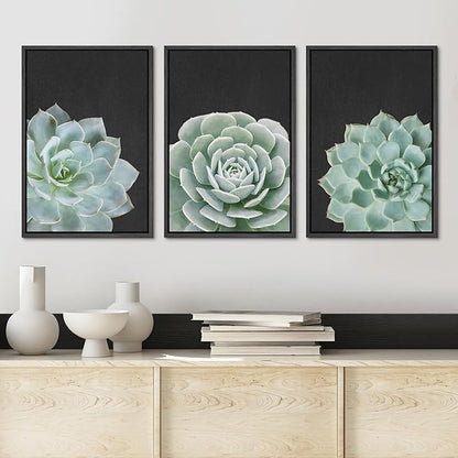 Ashbrook Framed Canvas Print Wall Art Set Green Desert Rose Cactus Succulents Nature Wilderness Photography Modern Art Minimal Chic Colorful for Living Room, Bedroom, Office - 24"x36"x3 Black