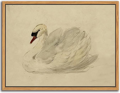 Floating Framed Vintage Wall Art Decor, Classical Swan Canvas Wall Prints, Rustic Sketch Watercolor Swan Poster Picture for Living Room Kitchen Bedroom Bathroom Farmhouse Decor 12x16 inch