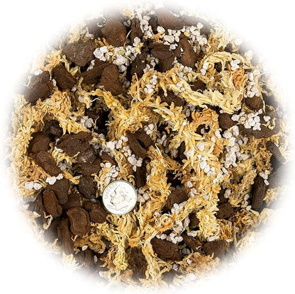 Premium Sphagnum Moss, Perlite and New Zealand Pine Bark Blend for Carnivorous Plants - Perfect for Venus Fly Traps, Pitcher Plants, Sarracenia, Butterworts, and Sundews by GARDENERA - 3 Quart Bag