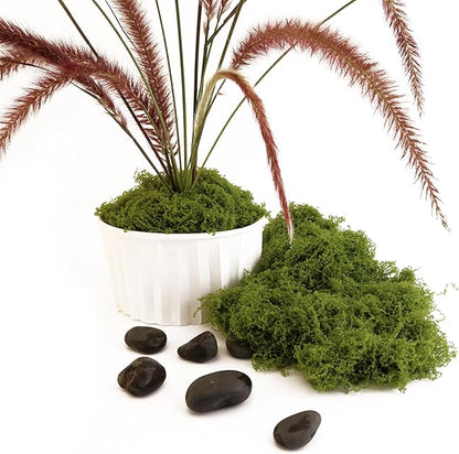 Green Moss Crafts, Artificial Grass Forest Potted Plants, DIY Craft Decoration for Wedding Christmas Party Decoration, Garden Flower Pots Home Decoration Indoor Planting (5.29 Ounces)