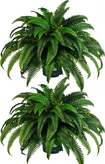 QIANYUN 2PCS Fake Ferns- Artificial Ferns for Outdoors-Faux Plants Boston Fern Tall Potted Plant Large for Front Porch Office Home Decor Indoor Outdoor
