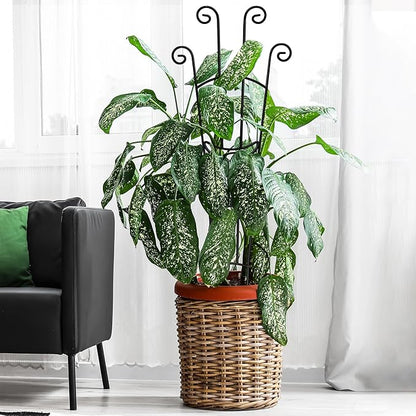 32.6in Plant Trellis for Climbing Plants Indoor, Expandable Large Metal Trellis for Potted Plants, Heavy-Duty Tall Pothos Plant Climber Support for Ivy Pothos Hoya Monstera, 2P