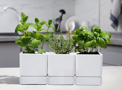 D'vine Dev 4 Inch Herb Planter Pot, Plastic Planter with Drainage Holes and Saucer, Modern Decorative Gardening Pot for Indoor Plants, Flowers, Herbs, Succulents, White, Set of 3, 76-Y-A3-1
