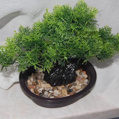 Artificial Bonsai Tree, Realistic Fake Cypress Plant in Pot with Decorative Rocks, 8-inch ndoor Decor, Home Office Desk, Bathroom Shelf, Bedroom, and Farmhouse Living Room