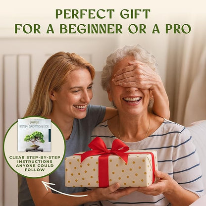 Avergo Bonsai Tree Kit – 3X Unique Japanese Bonzai Trees | Complete Indoor Starter Kit for Growing Bonsai Plants with Tools & Planters – Gardening Gifts for Women & Men