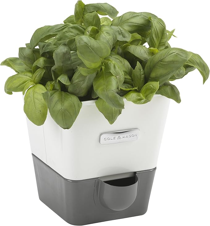 Cole & Mason Self-Watering Single Potted Herb Keeper, Indoor Herb Box, 21 cm, White/Grey, Self Watering, Includes 4 x Pads