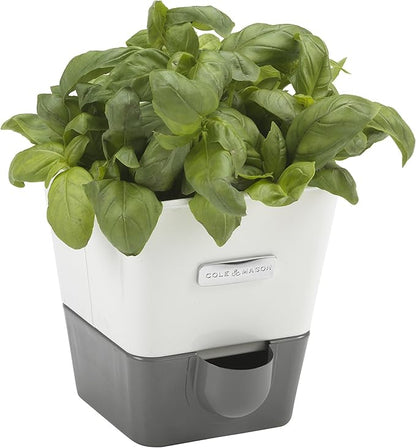 Cole & Mason Self-Watering Single Potted Herb Keeper, Indoor Herb Box, 21 cm, White/Grey, Self Watering, Includes 4 x Pads