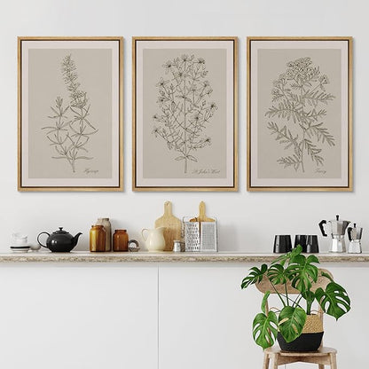 Ashbrook Framed Canvas Print Wall Art Set Duotone Vintage Flowers Nature Wilderness Illustrations Modern Art Decorative Floral Botanical Minimal Calm/Relax/Cozy for Bedroom - 16"x24"x3 NATURAL