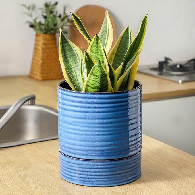 Hasense Large Self Watering Plant Pot, 8 Inch Porcelain Planter with Drainage Hole and Water Storage Plus for Outdoor & Indoor House Plants and Garden, Round Flower Pots for Home or Office Decor, Blue