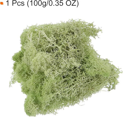 MECCANIXITY 3.5 OZ Moss Fake Craft Moss Artificial Moss Natural Preserved Moss for Craft Arts Floral DIY Project Wall Wedding Garden Patio Table Terrariums Decoration(Light Yellow Green)