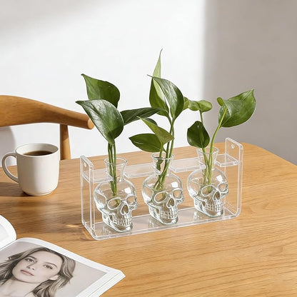 Clear Plant Propagation Station Plants Terrarium Planter Vase Birthday Gifts for Women Girl in Acrylic Stand Home Office Garden Decor