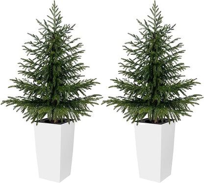 2 Pack 4FT Artificial Norfolk Pine Trees in Modern White Pot, Real Feel Faux Christmas Tree for Indoor Decor, Pet Safe PPC Material, Home and Holiday Style