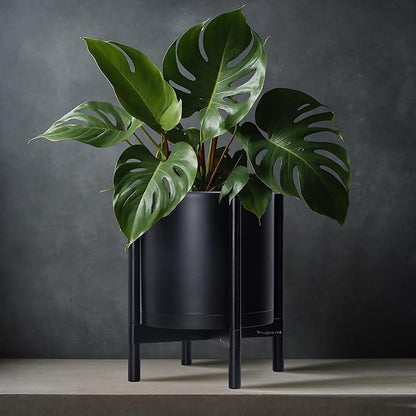 D'vine Dev Planter Pot with Stand - 12 Inch Plastic Cylinder Flower Pot with Wood Planter Holder for Indoor, Matte Black Pot + Ebony Stand, 55-C-Q-2