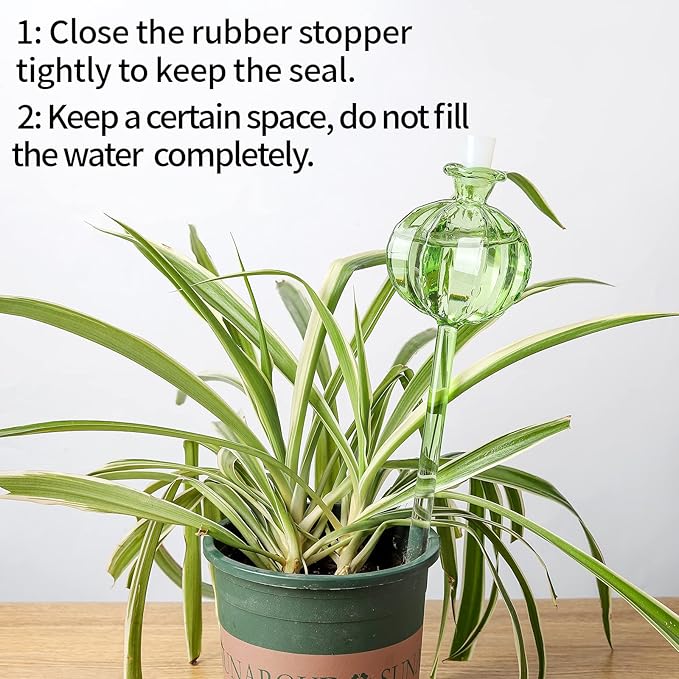 Self Watering Planter Insert. Plant Watering Devices. 3-Pack Cactus Plant Watering Bulbs. Plant Watering Globes. Plant Gifts Plant Lover Gifts