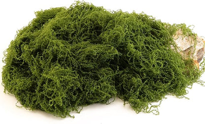 Green Moss Crafts, Artificial Grass Forest Potted Plants, DIY Craft Decoration for Wedding Christmas Party Decoration, Garden Flower Pots Home Decoration Indoor Planting (5.29 Ounces)