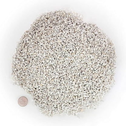 Gardenera Organic Perlite - Medium/Fine Grade (1 Quart Bag) Horticultural Soil Amendment for Indoor & Outdoor Container Plants for Drainage Management and Enhanced Growth