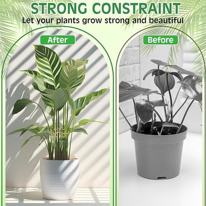 Frienda 9 Pcs Monstera Plant Support Metal Iron Plant Stem Support Stakes for Indoor Plants 4.1 Inch Golden Powder Coating Turtle Shell Bamboo Clamp Set for Thriving Growth Indoor Garden Accessories